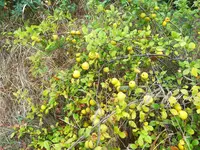 IMG_20180830_161621.webp