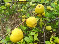 IMG_20180830_161631.webp