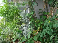 c014.jpg
