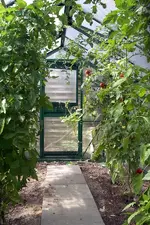 IMGP2982.webp