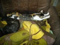 IMGP6703.webp