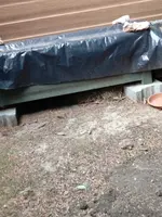 20180902_112959.jpg