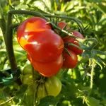 20180901_180144.jpg