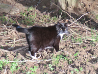 IMG_1808 v (1).webp