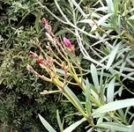 IMG_20180903_105605.webp