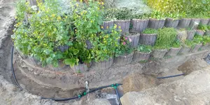 20180822_191933.webp