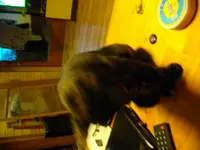 IMGP6766.webp