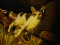 IMGP6750.webp