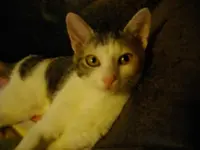 IMGP6751.webp