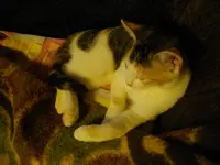 IMGP6758.webp