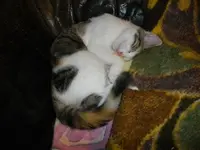 IMGP6761.webp