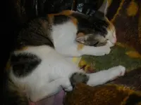 IMGP6763.webp