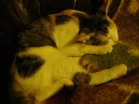 IMGP6764.webp