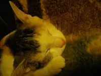 IMGP6765.webp