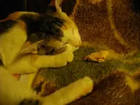 IMGP6768.webp