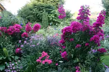 Terasse  5118.webp
