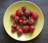 20180901_101948-1.webp