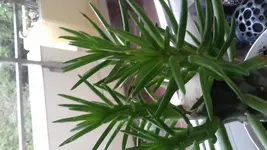 20180904_152059[1].webp