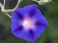 DSC03828.webp