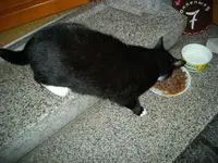 IMGP6775.webp