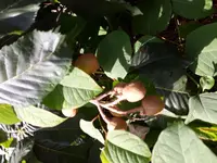 20180805_113224.webp