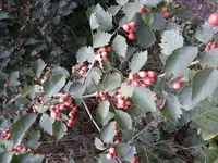 20180805_114447.webp