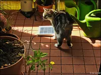 c022.webp