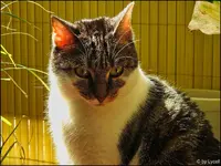c023.webp