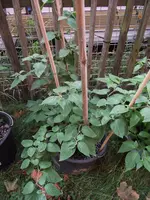 2018_0819Anbau20180199.webp