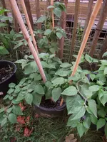 2018_0819Anbau20180197.webp