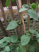 2018_0819Anbau20180198.webp