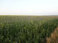DSC03639.webp
