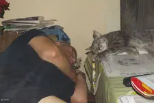 comp_Gemeinsame Siesta.webp