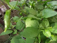2018_0819Anbau20180204.webp