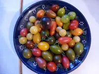 P1040434.webp