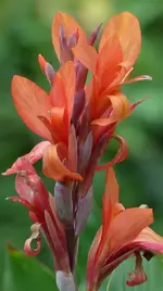 image002.jpg