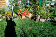 Garten 11.webp