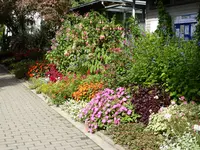P1100777.webp