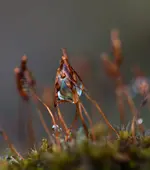 0M3A8977.webp