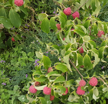 20180909_204411.jpg