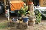 DSC06993.jpg