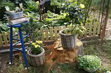 DSC06994.webp