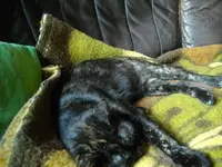 IMGP6798.webp