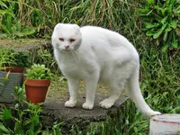 IMG_1987 - Copy.JPG