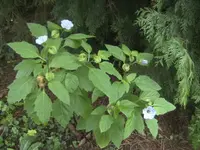 BILD0643.webp