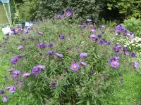 BILD0649.webp