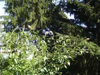 BILD0664.webp