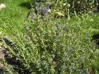 BILD0674.webp
