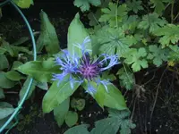 BILD0673.webp