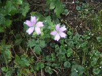 BILD0681.webp